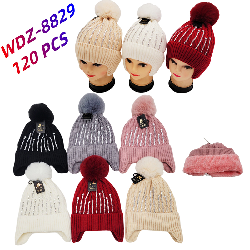 WDZ-8829 CS120